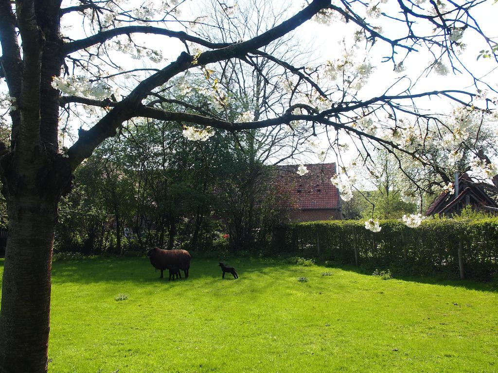 Grote Goesting Holiday House Wevelgem Dış mekan fotoğraf